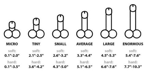 big vs small lpsg|Shown Actual Size: A Penis Shape & Size Lowdown .